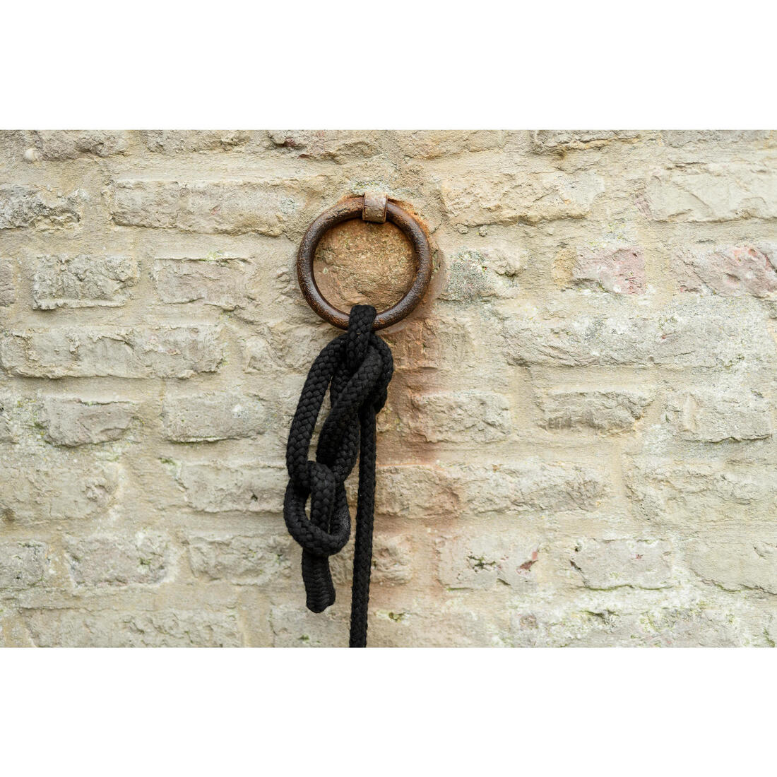 Longe équitation cheval et poney TACK - 2 m