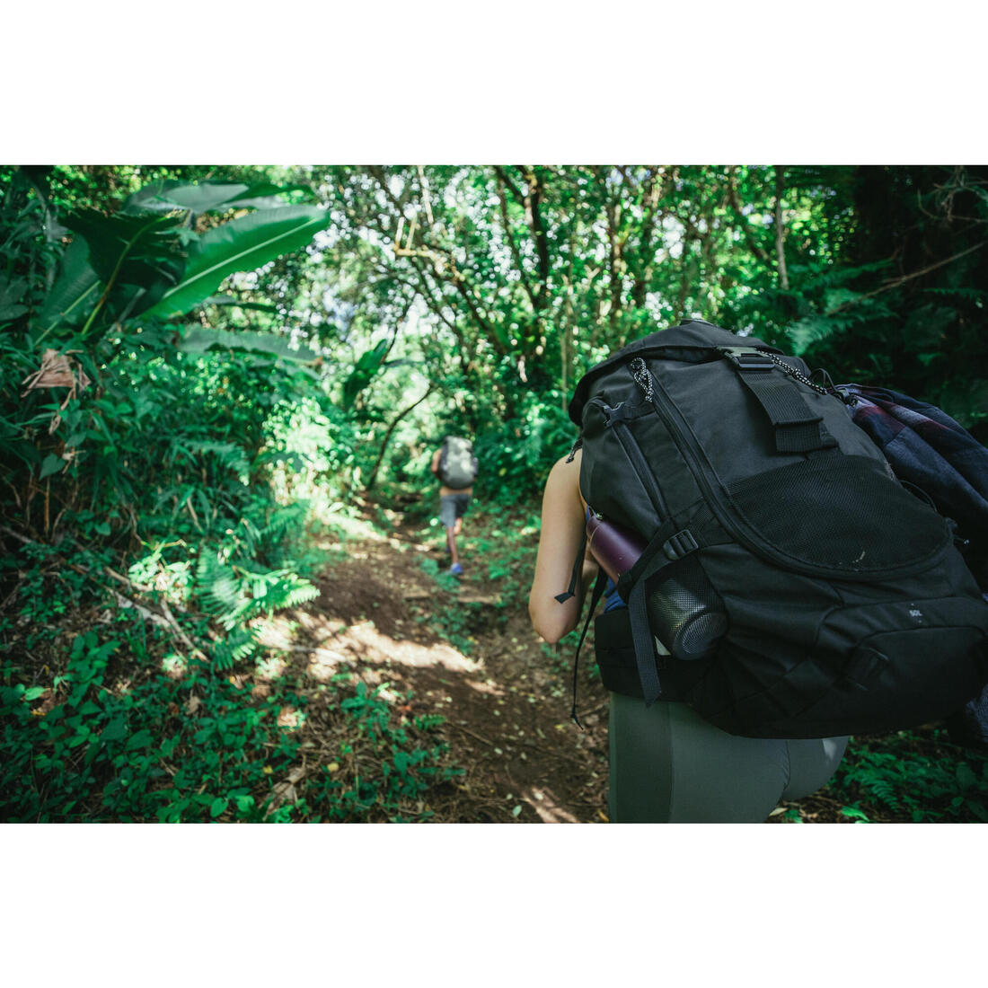 Sac à dos de trekking 50 L - MT100