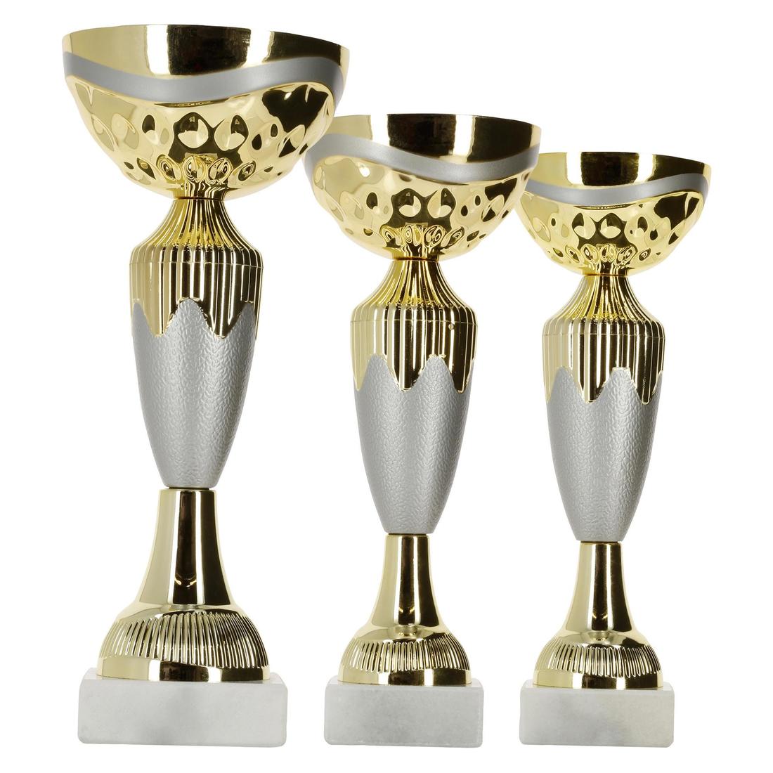 Lot 12 coupes podium - récompenses sportives