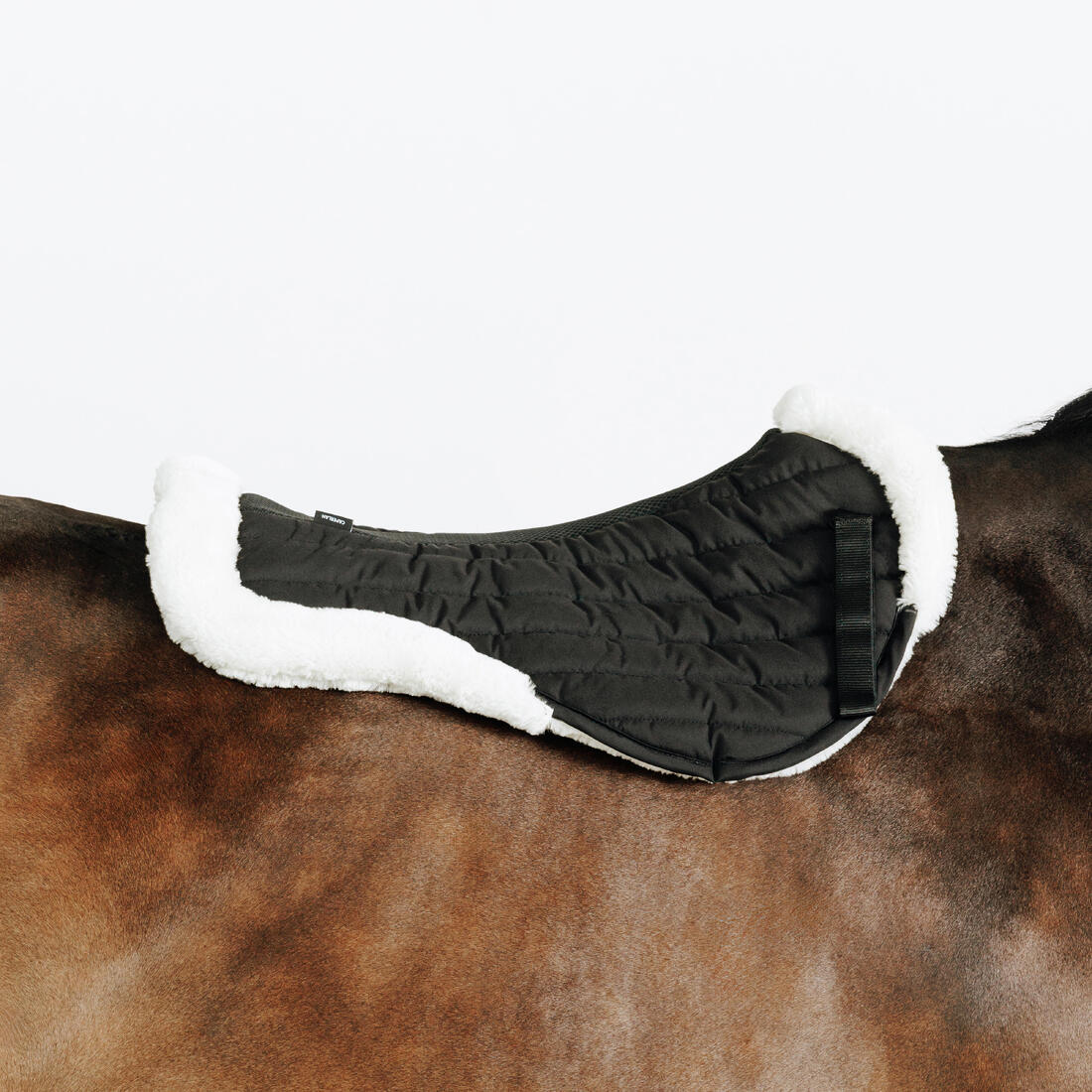 Amortisseur cheval mouton noir 900
