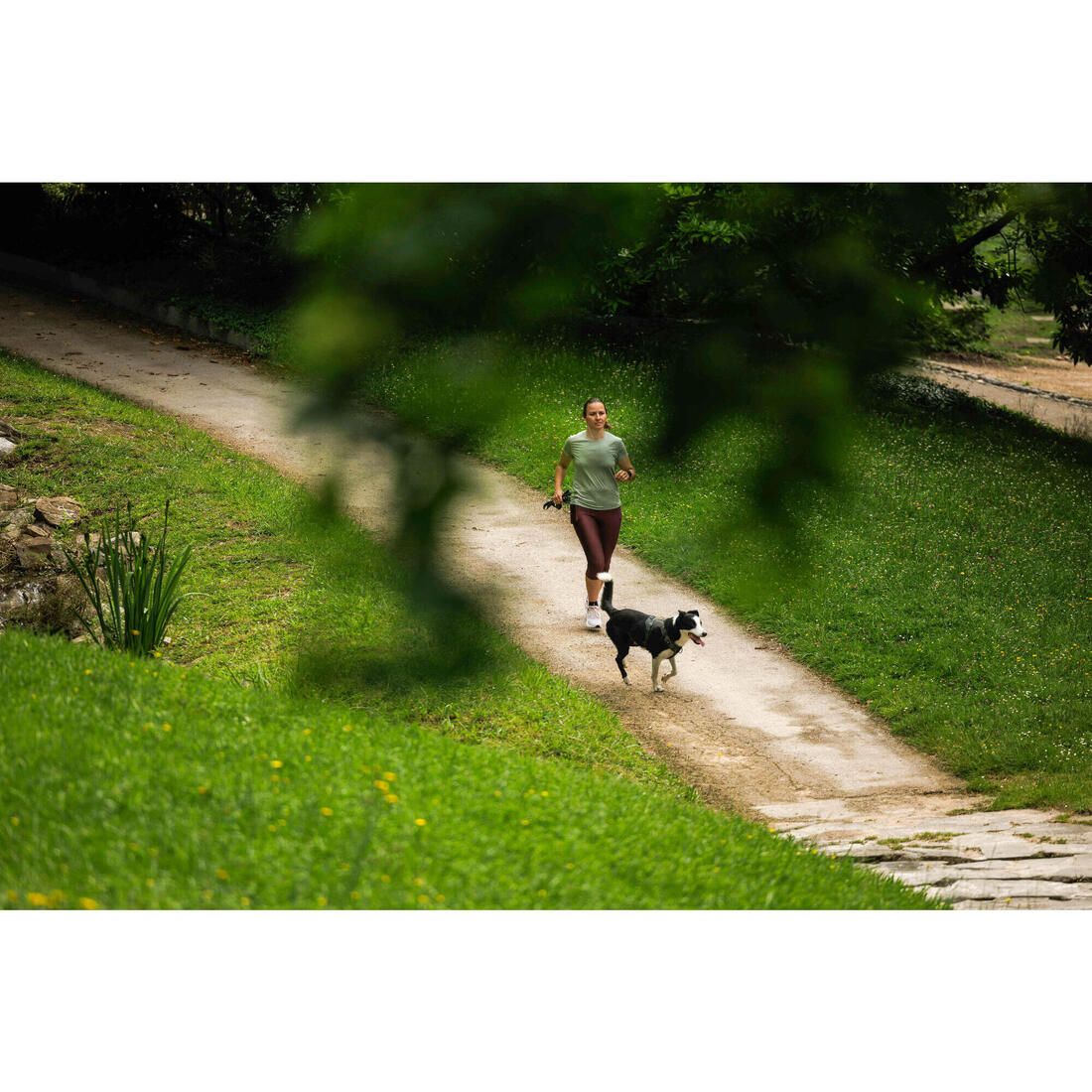 Harnais chien outdoor 500
