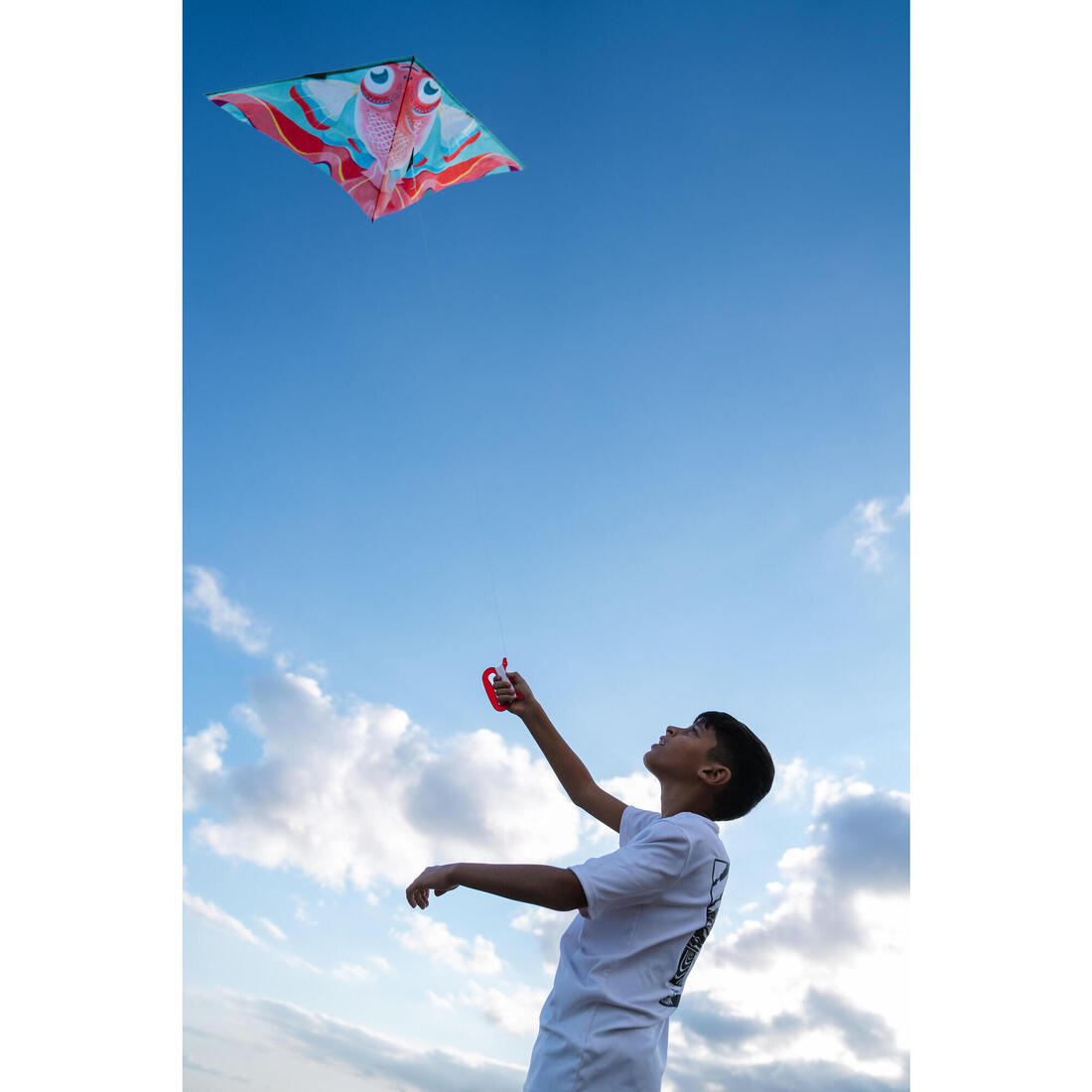 Cerf-volant statique Enfant - MFK 100 Perroquet