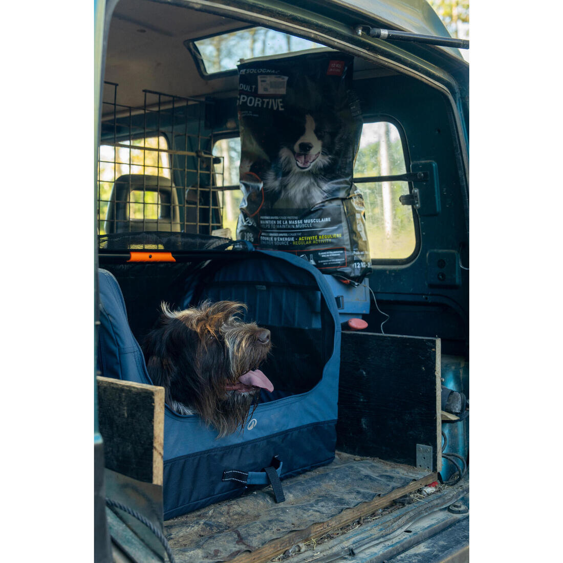 Caisse de transport pliable pour 1 chien, bleue