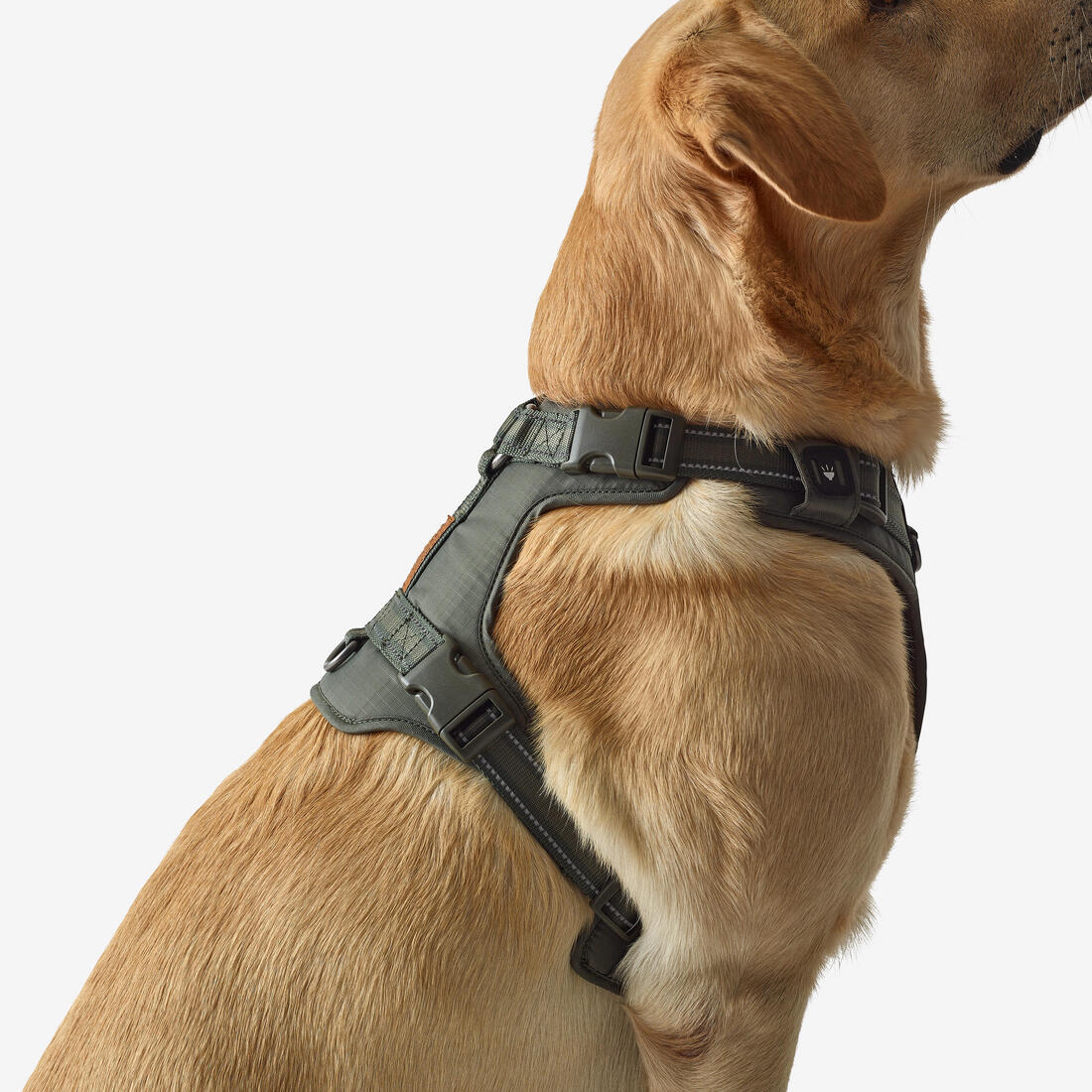 Harnais chien outdoor 500