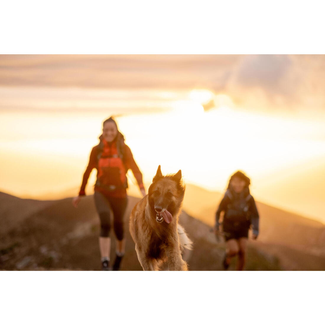 Veste imperméable de randonnée montagne - MH500 Femme