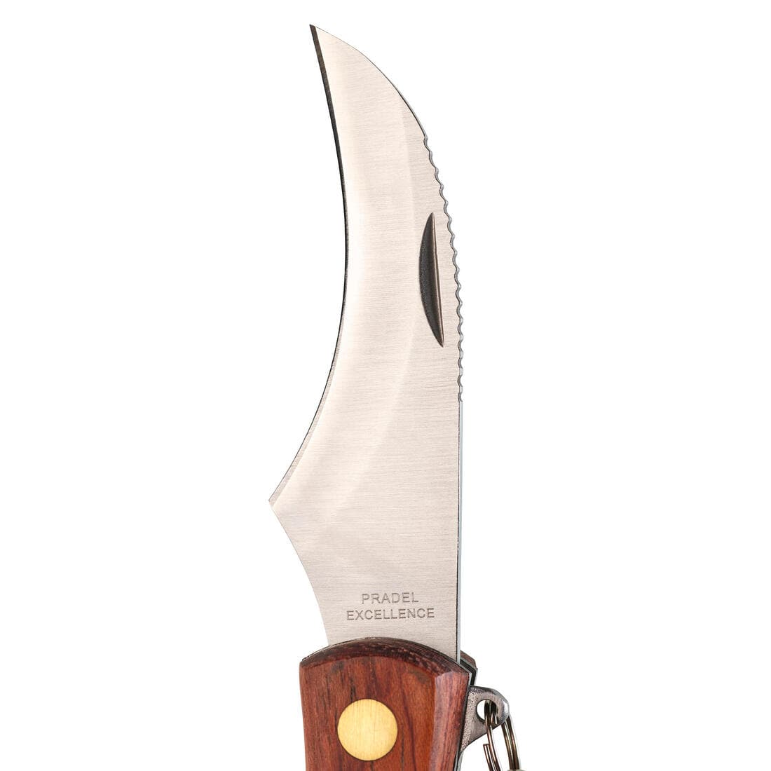Couteau champignon pliable 7cm inoxydable Pradel