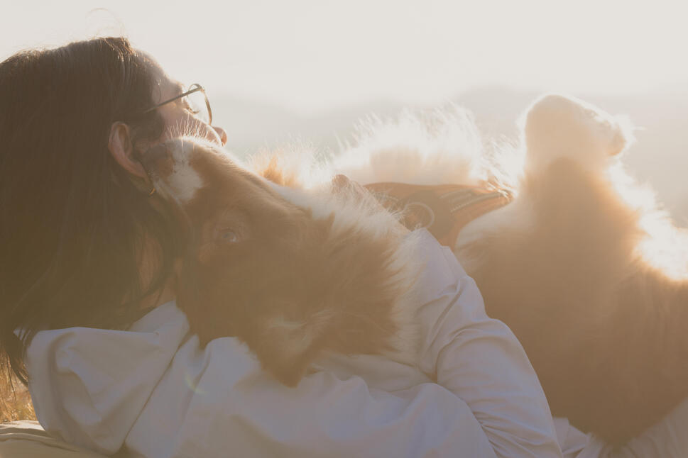 5 conseils pour bien préparer son premier lever de soleil au sommet du Piton des Neiges