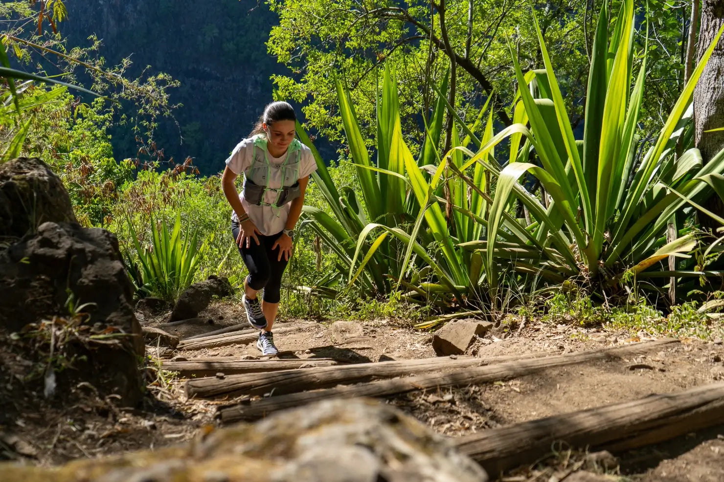 débuter le trail à la réunion