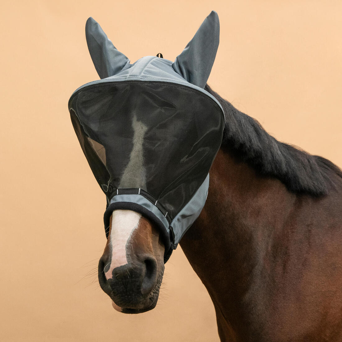 Masque anti-mouche équitation avec arceau Cheval et Poney