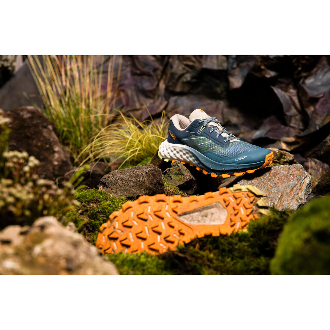 Chaussures de trail running homme EVADICT MT CUSHION 2 Noires Edition limitée