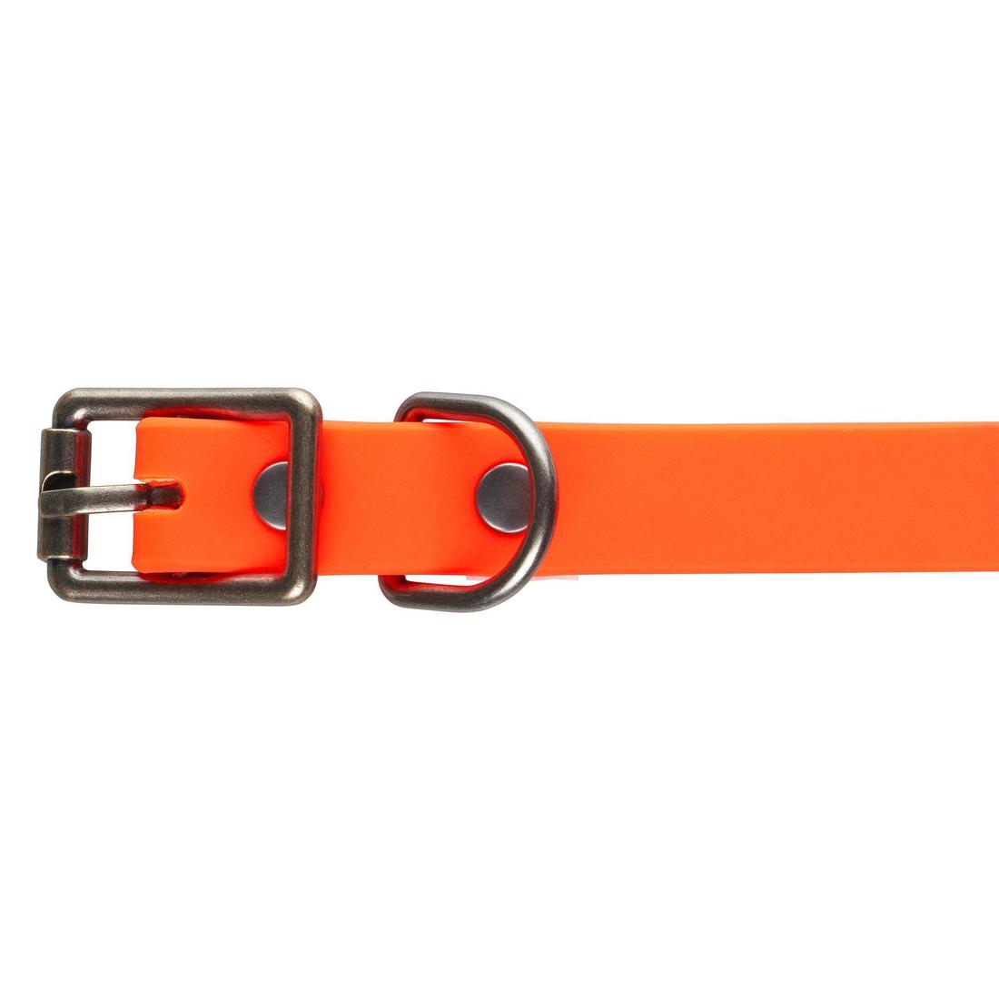 Collier chien Orange 900