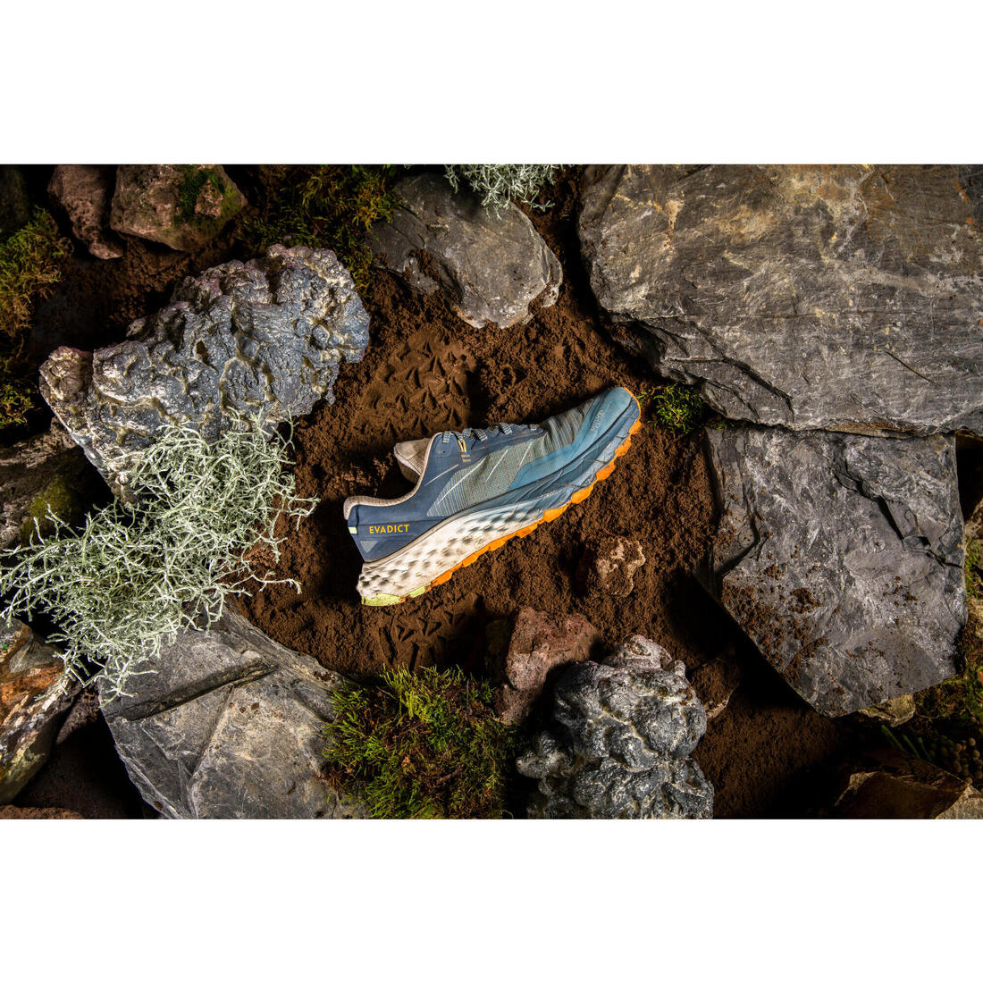 Chaussures de trail running homme EVADICT MT CUSHION 2 Noires Edition limitée