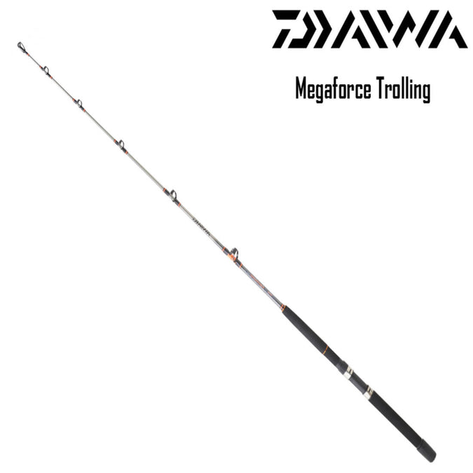 





Canne Daiwa Megaforce TR 5080, photo 1 of 1