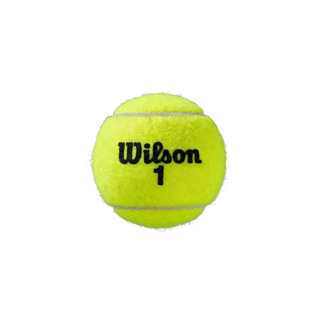 BALLE DE TENNIS WILSON ROLAND GARROS ALL COURT *4 JAUNE SPEED