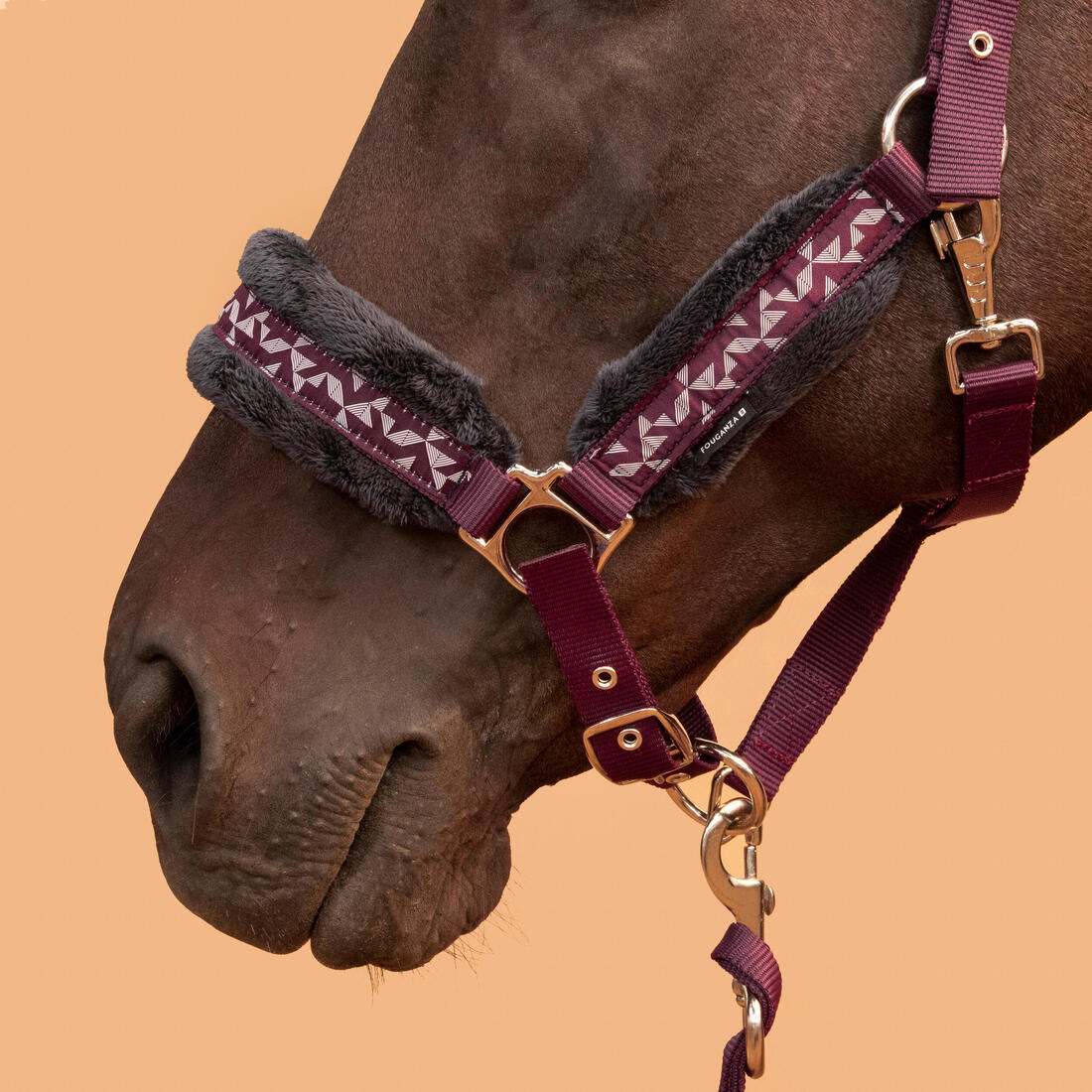 Kit licol et longe équitation Cheval et Poney - Confort rose et