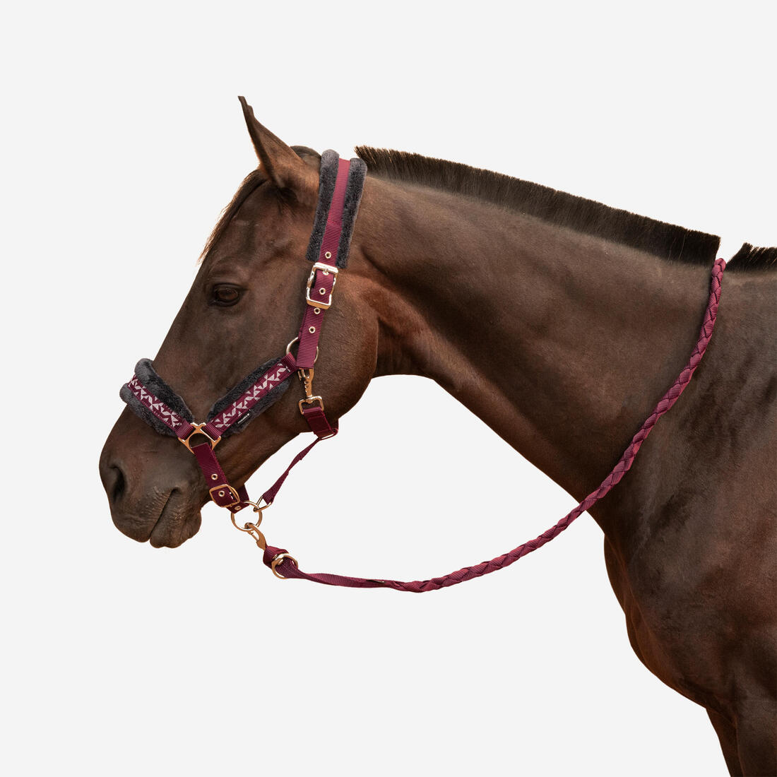 Kit licol et longe équitation Cheval et Poney - Confort rose et