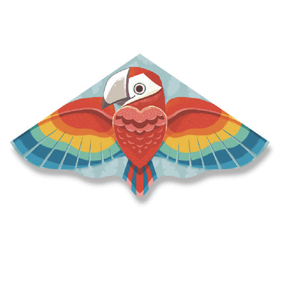 CERFS VOLANTS, DISQUES VOLANTS