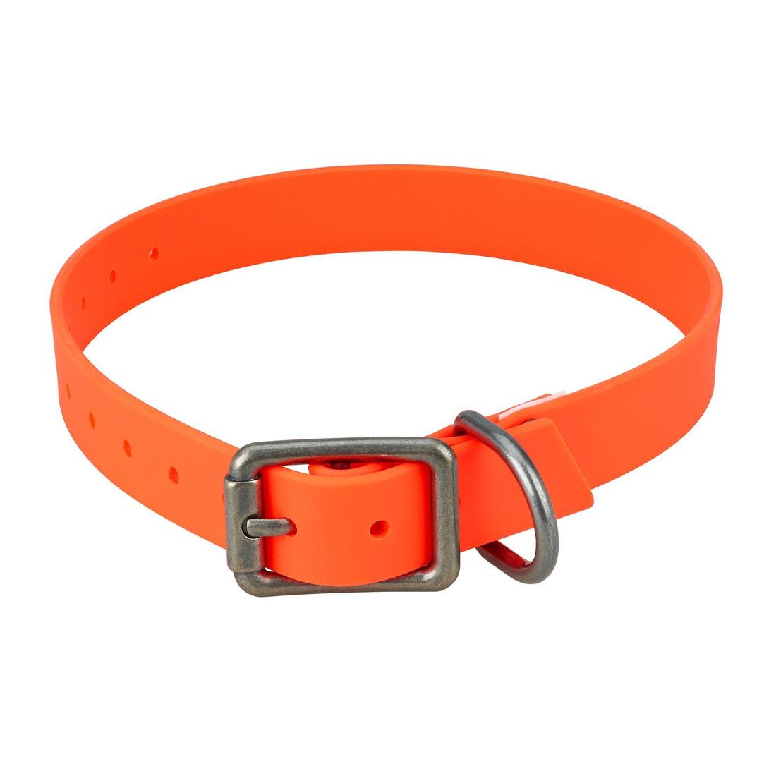 Collier chien Orange 900