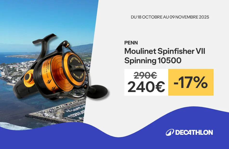 Moulinet spinfisher