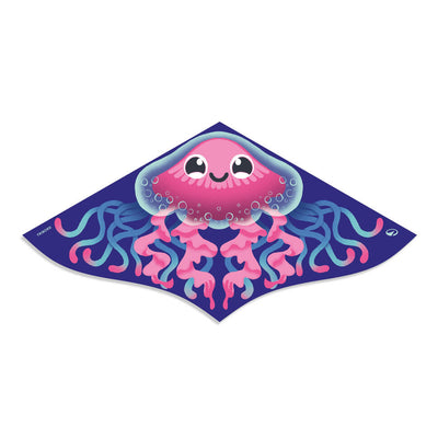 CERFS VOLANTS, DISQUES VOLANTS