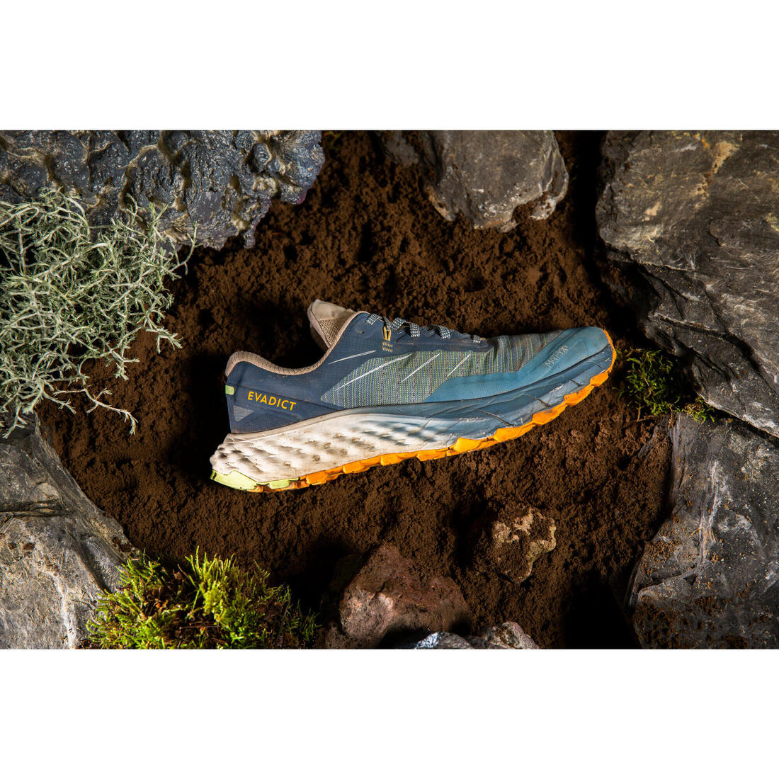 Chaussures de trail running homme EVADICT MT CUSHION 2 Noires Edition limitée