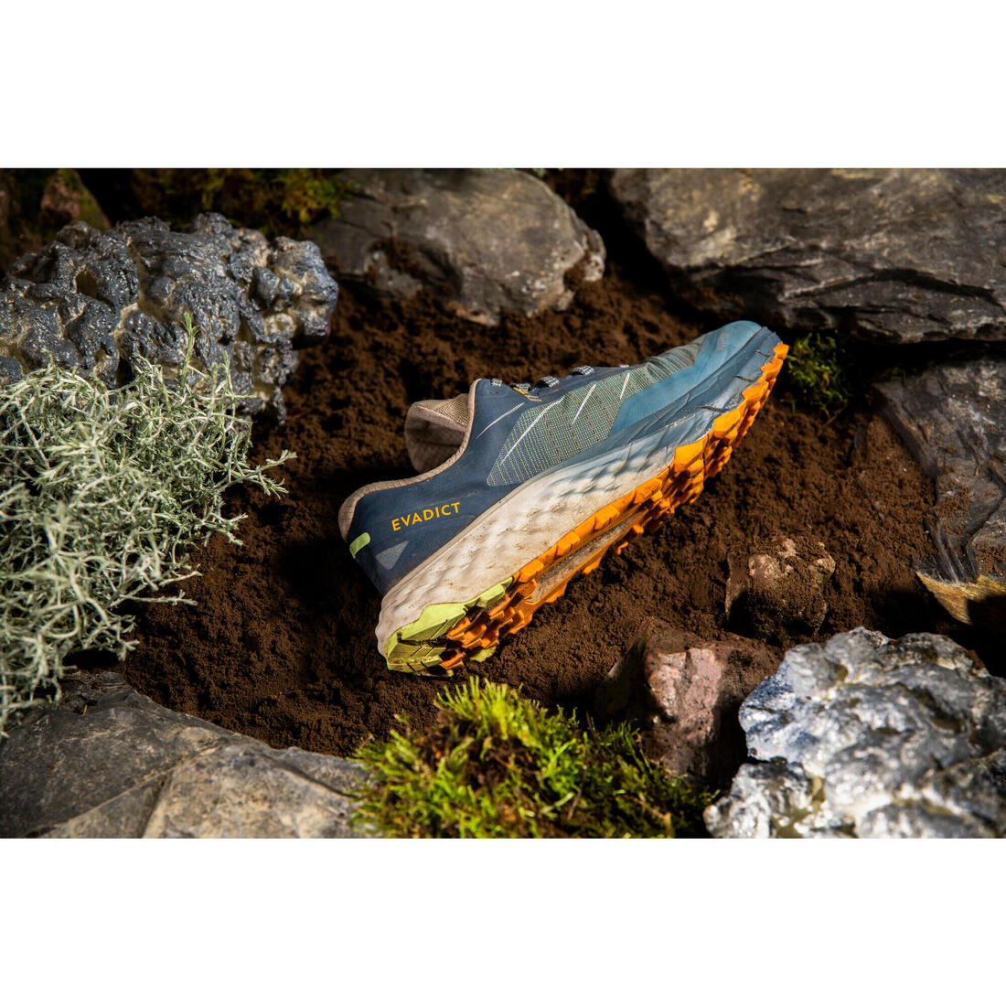 Chaussures de trail running homme EVADICT MT CUSHION 2 Noires Edition limitée