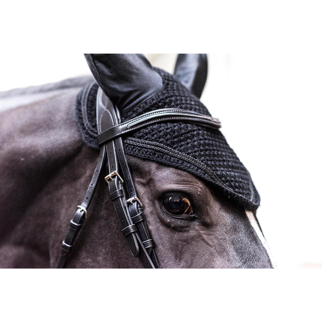 Bonnet équitation Cheval - Riding