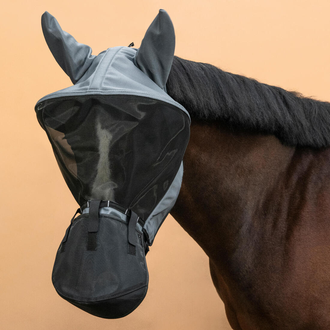 Masque anti-mouche équitation avec arceau Cheval et Poney