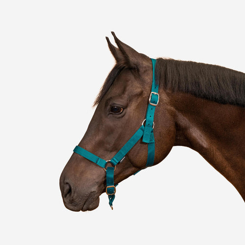 





Licol équitation Cheval et poney - Schooling framboise