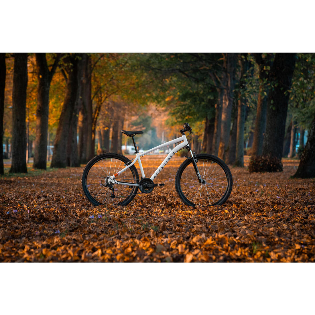 Vélo vtt randonnée - expl 50 gris foncé