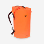 orange papaye
