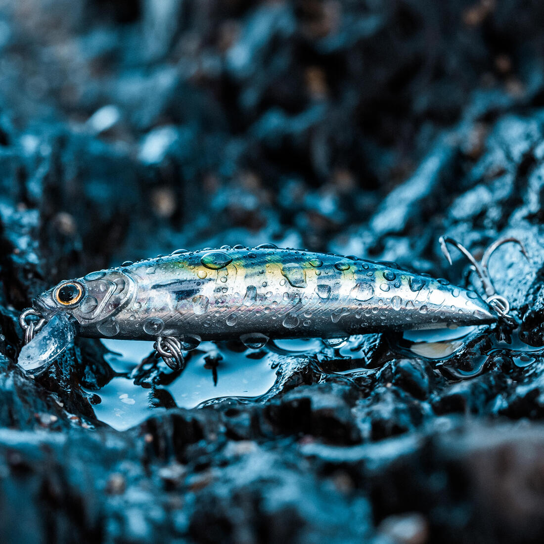 Poisson nageur SAXTON 75 F TETE au leurre en mer
