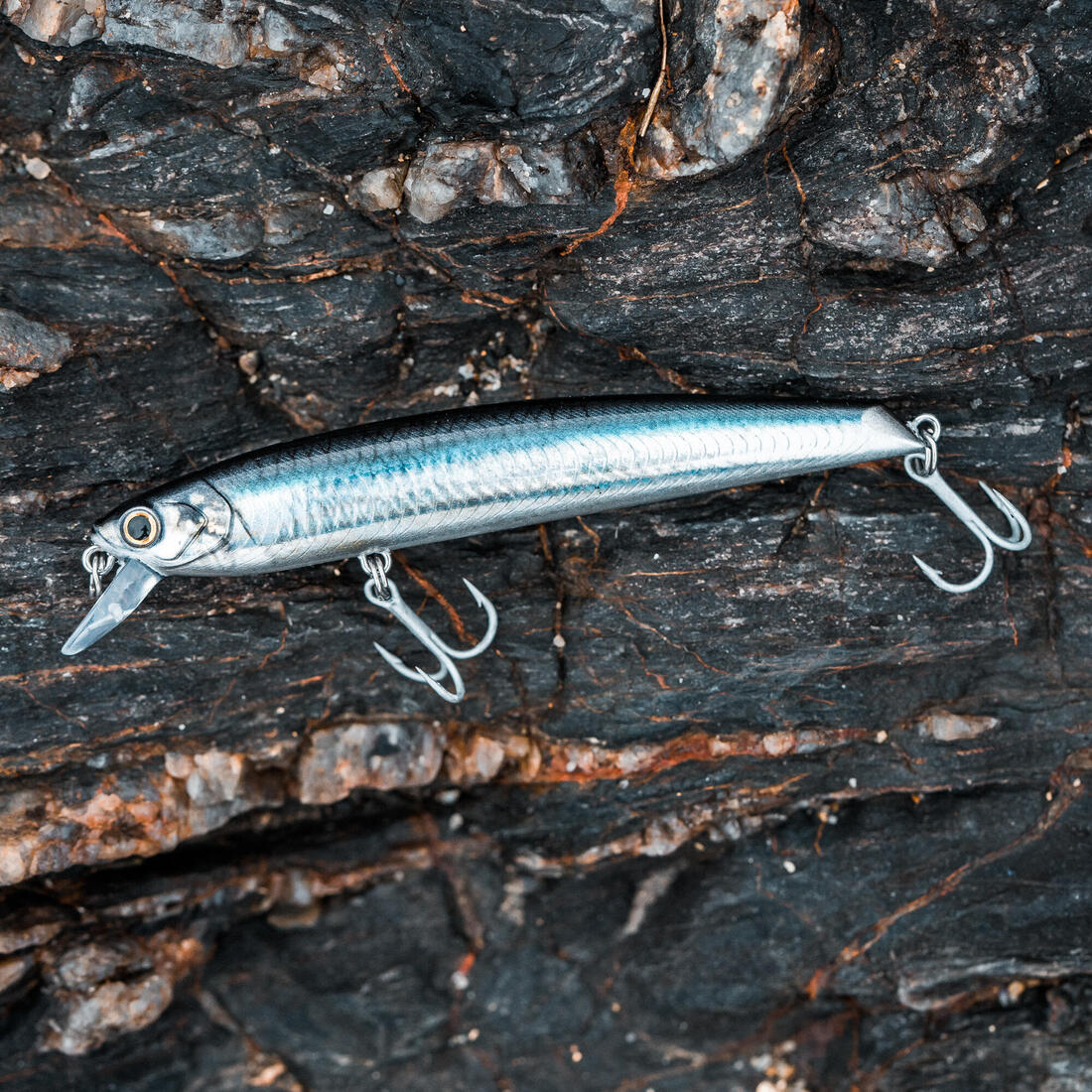 Poisson nageur Saxton 110F au leurre en mer
