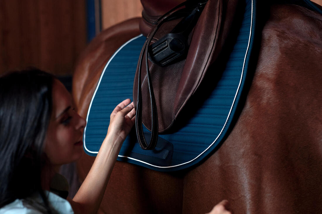 Tapis de selle équitation Cheval et Poney - 900