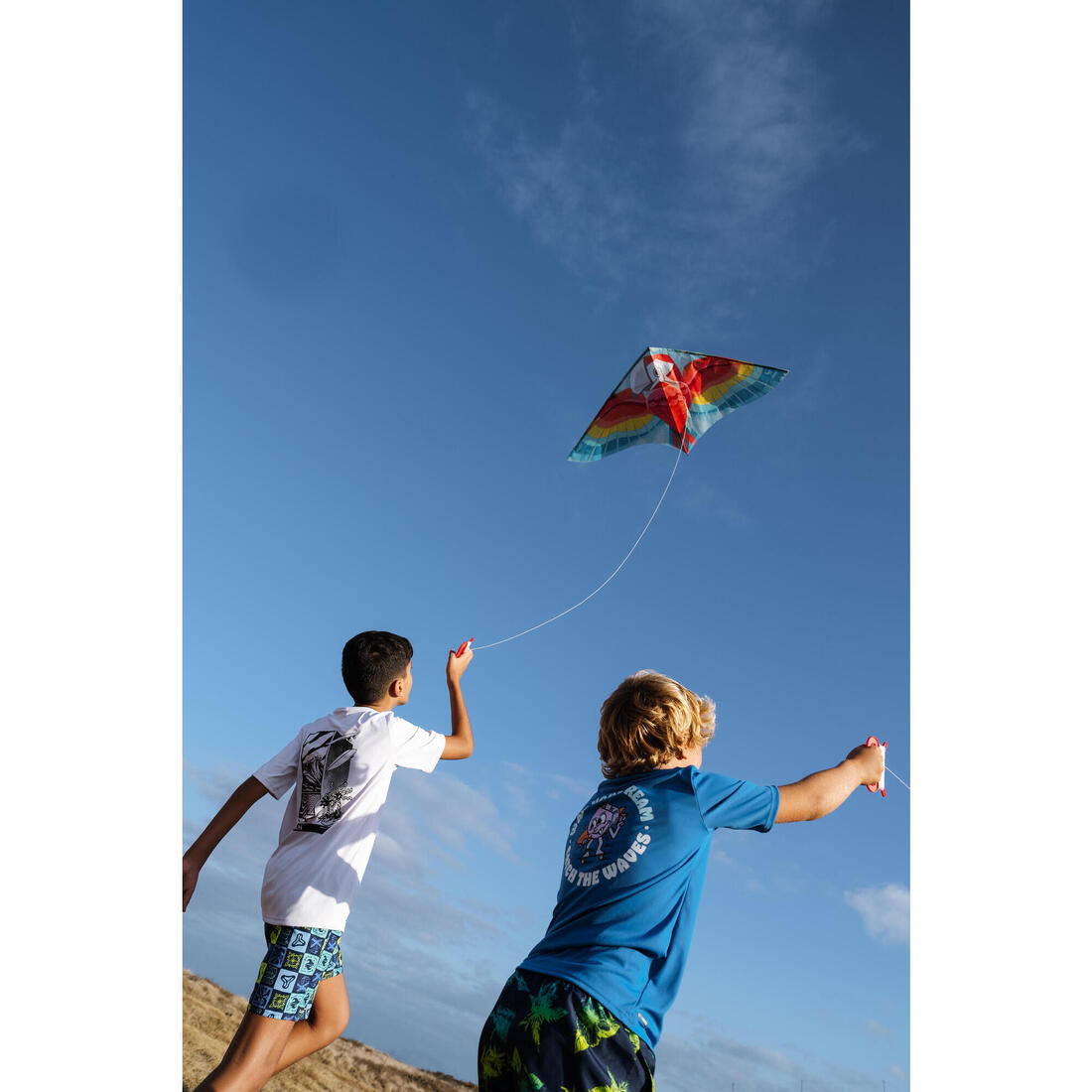 Cerf-volant statique Enfant - MFK 100 Perroquet