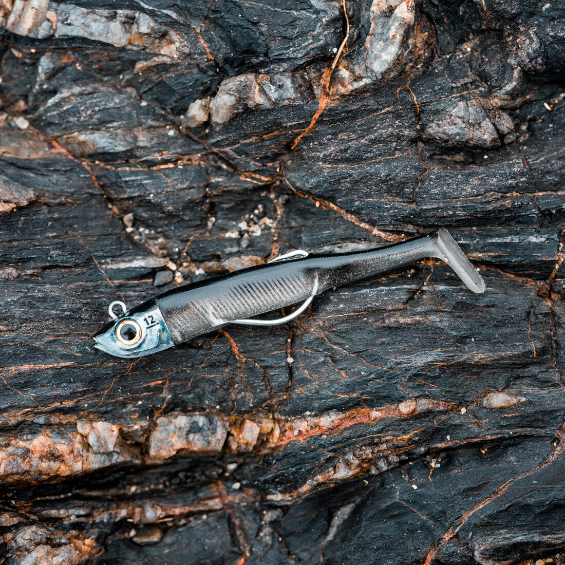 Kit leurres souples shad texan anchois ancho 120 12gr ayu en mer