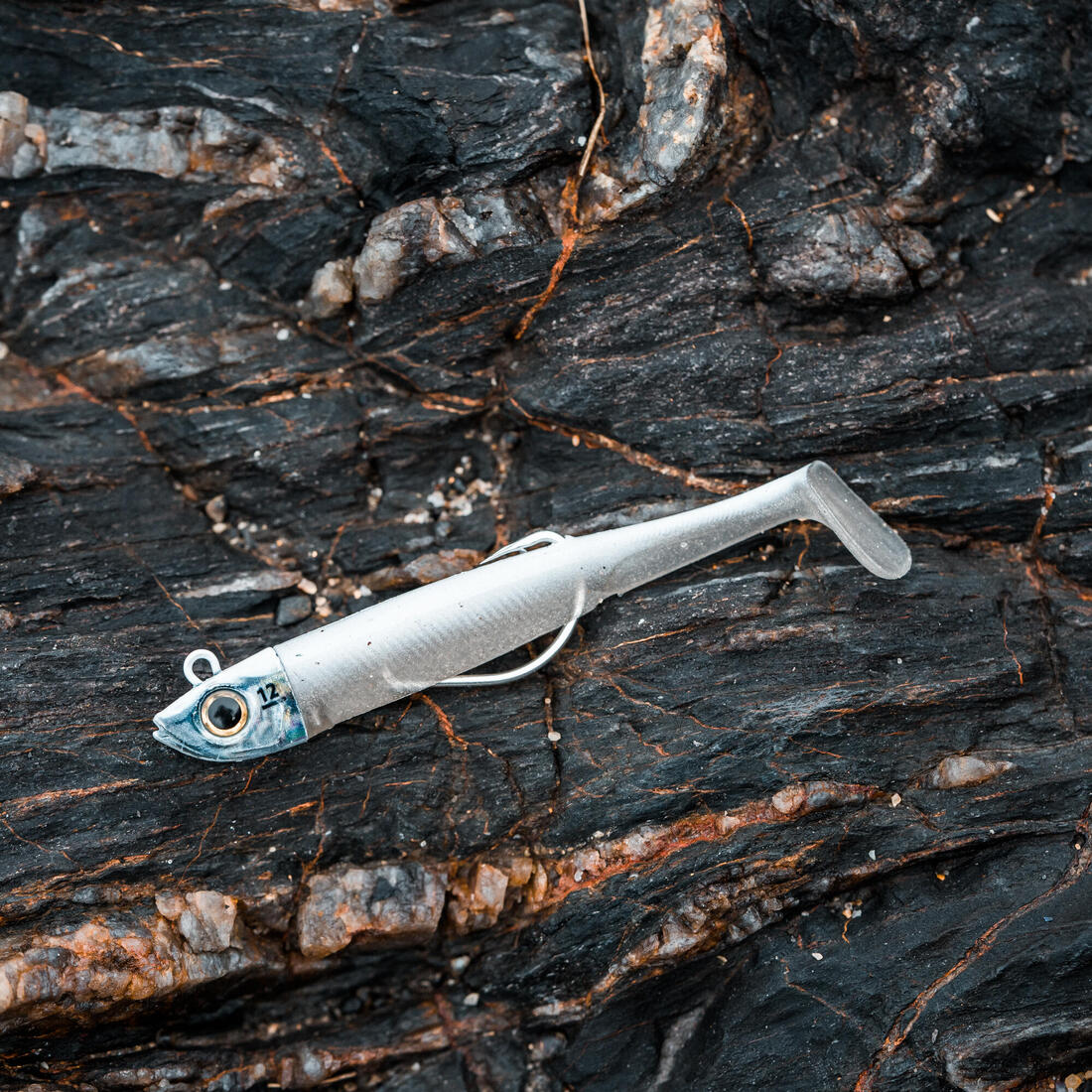 Kit leurres souples shad texan anchois ancho 120 12gr ayu en mer