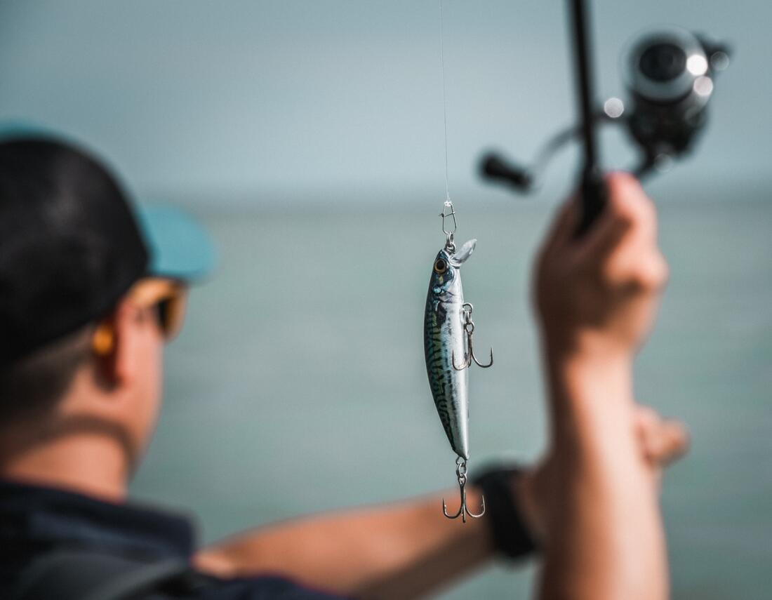 Poisson nageur SAXTON 75S au leurre en mer