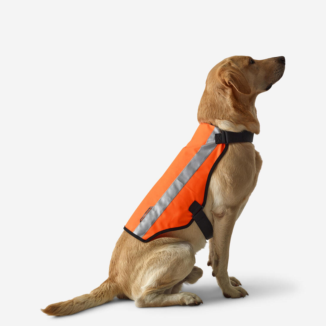 GILET CHIEN CHASSE 100