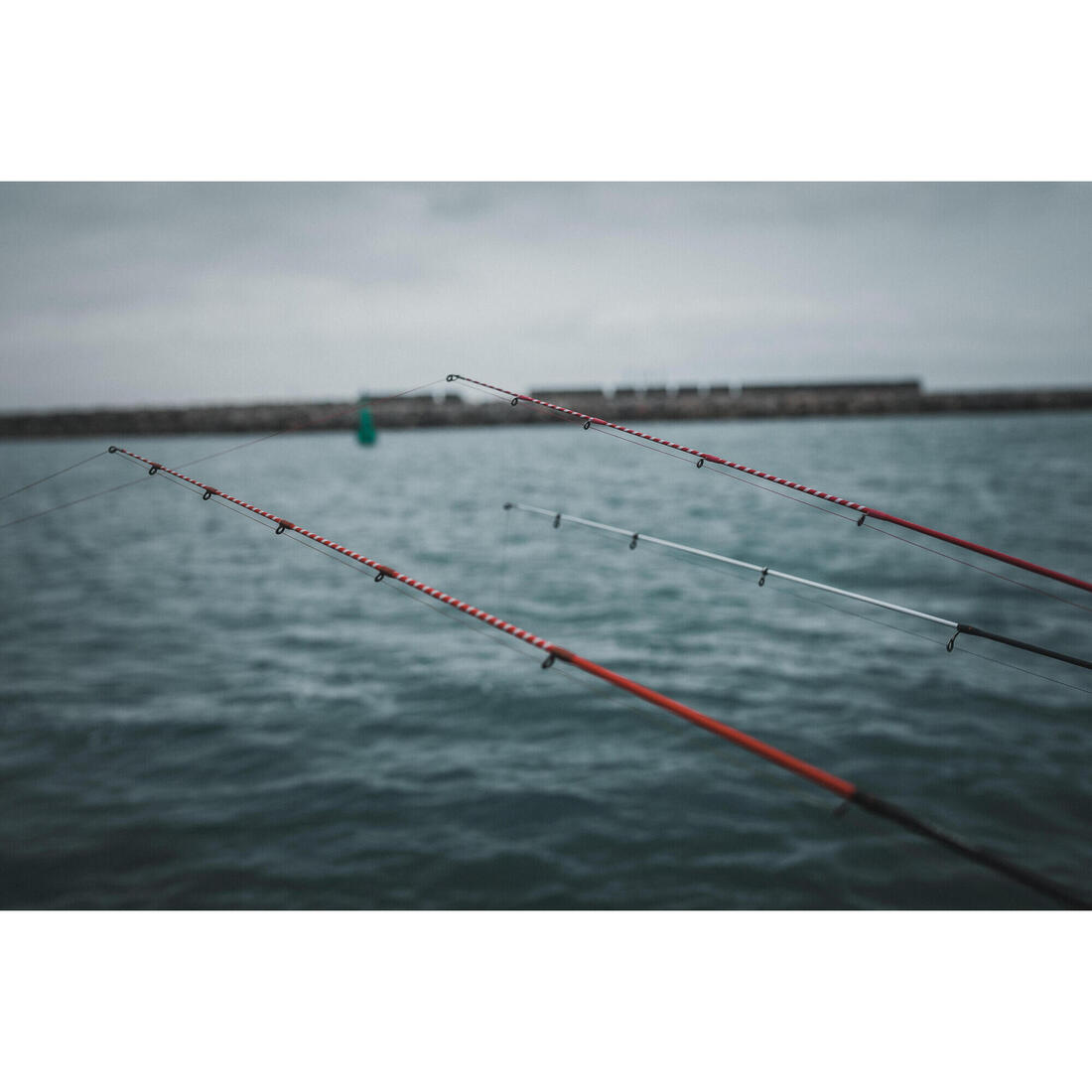 CANNE PÊCHE EN MER AU POSÉ DU BORD SEACOAST-5 390 telesco