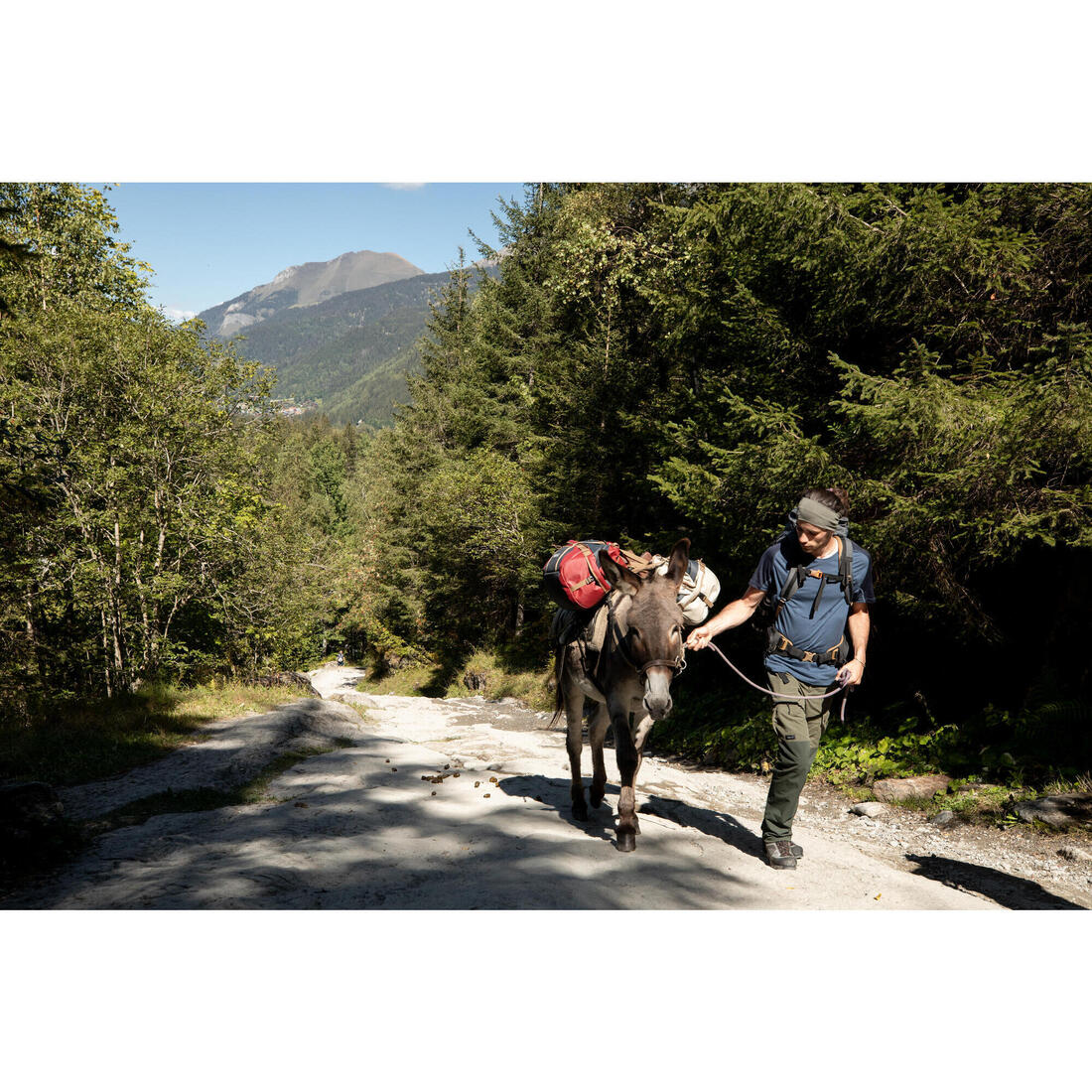 Bandeau de trekking laine mérinos -MT500
