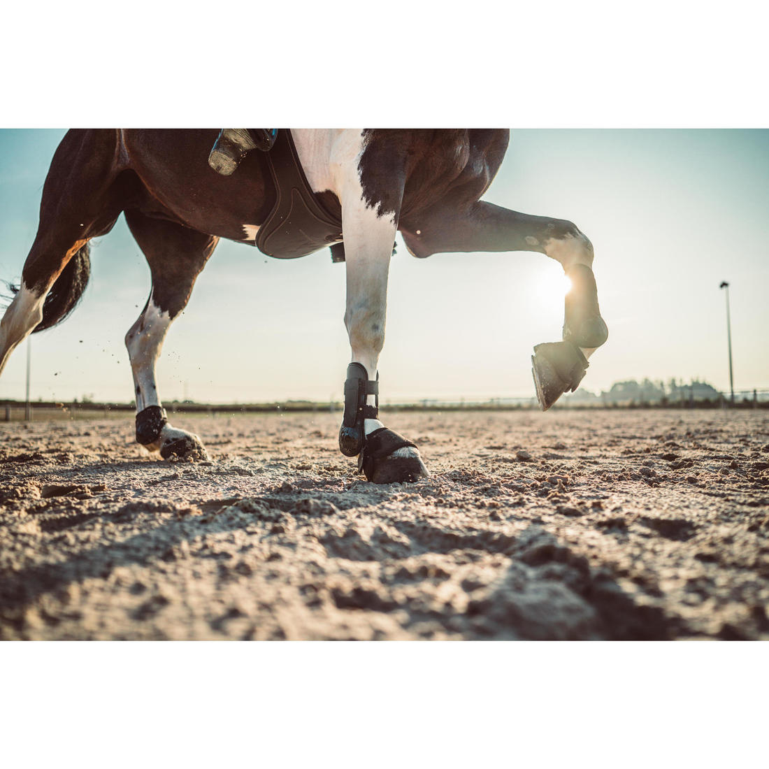Cloches équitation ouvertes Cheval et Poney - 500 noires x2