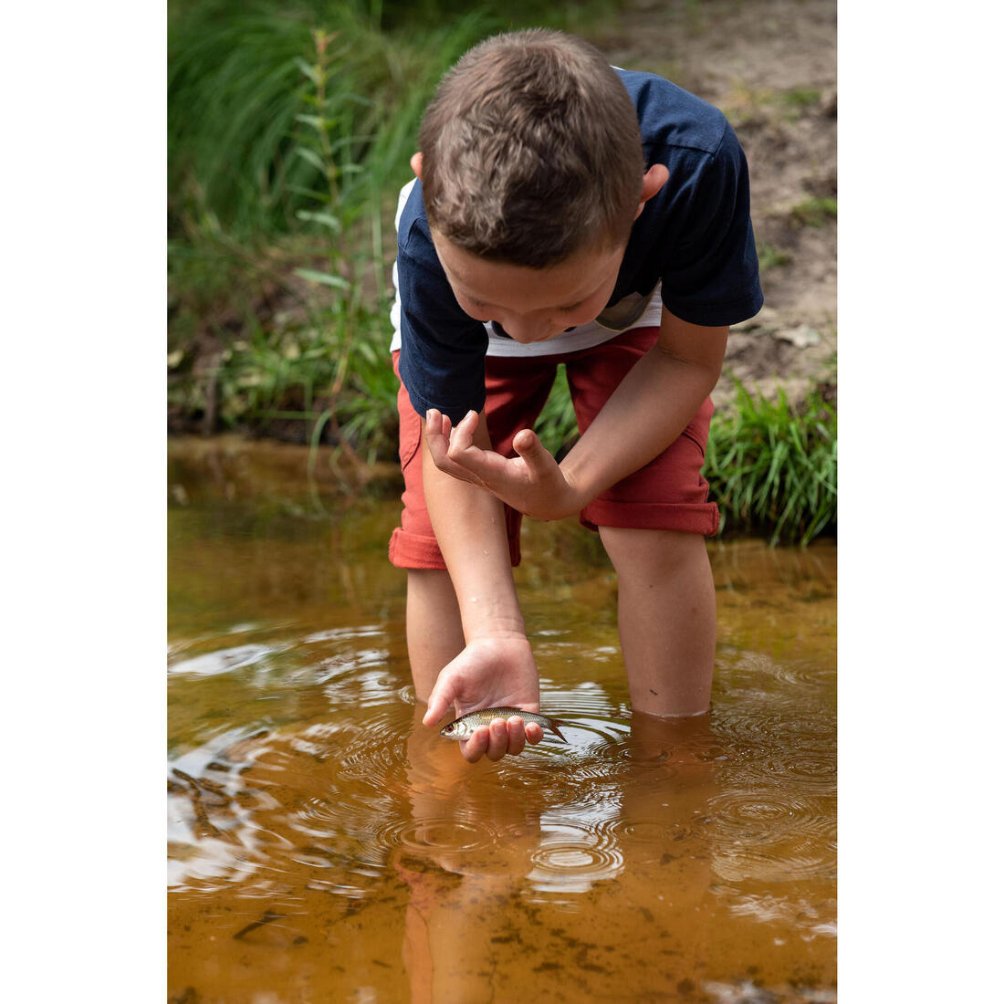 Panoplie canne + ligne montée firstfish 300  pour la pêche au coup.