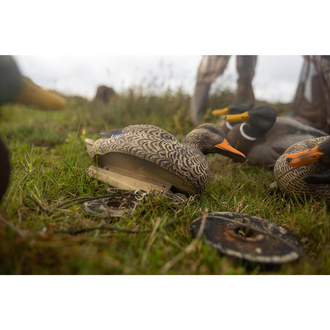 APPELANT COLVERT MALE 500 HD
