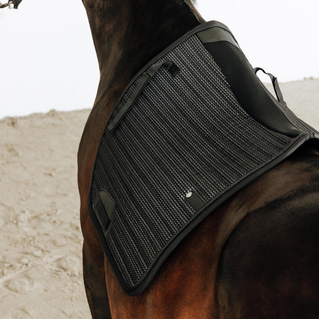 Tapis de selle équitation cheval et poney - 900 pimp noir