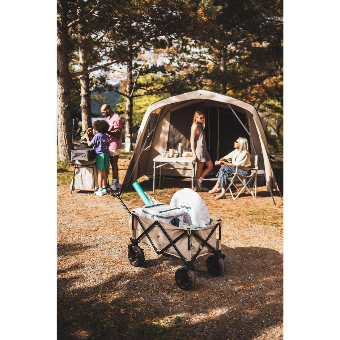 Chariot de transport tout terrain pour matériel de camping, Trolley All Road