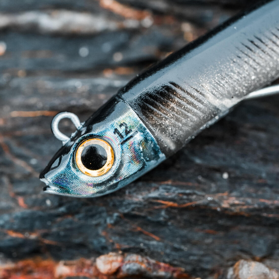 Kit leurres souples shad texan anchois ancho 120 12gr ayu en mer