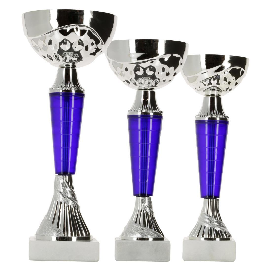 Lot 12 coupes podium - récompenses sportives