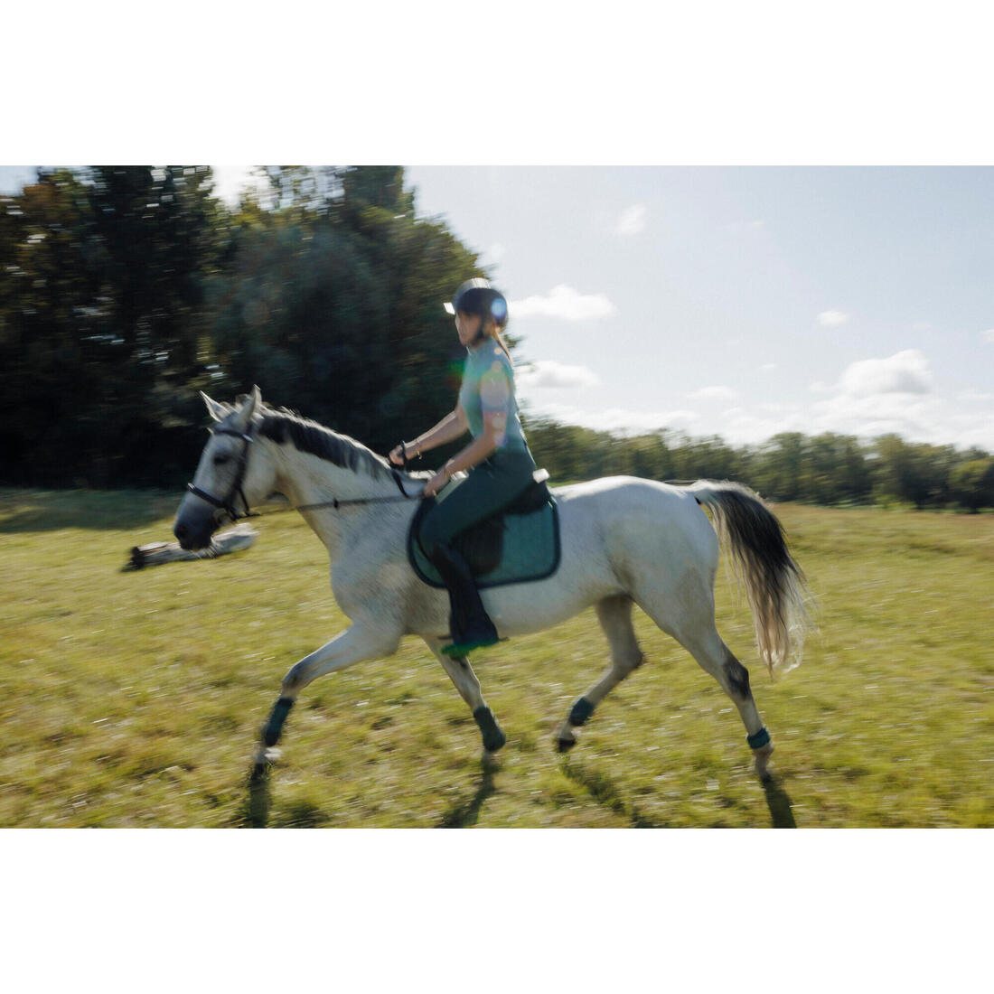 Tapis de selle équitation cheval - 500
