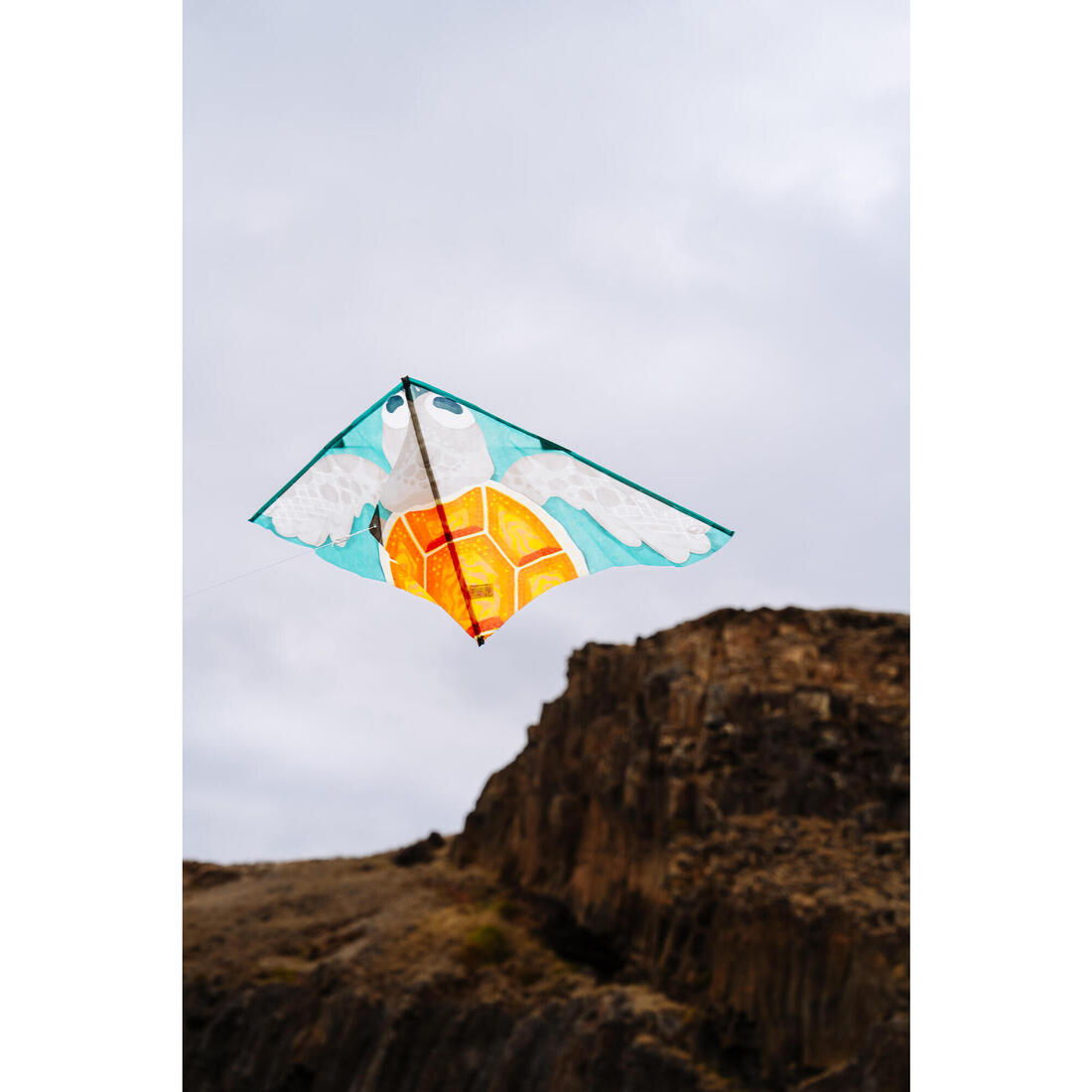 Cerf-volant statique Enfant - MFK 100 Perroquet